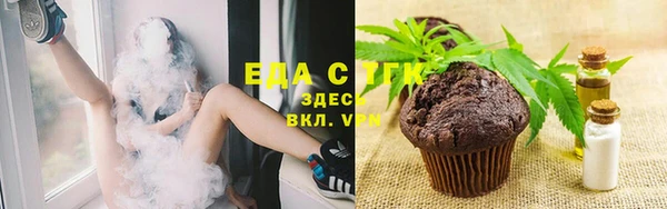 крисы Тайга