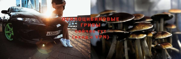 мяу мяу мука Дмитриев